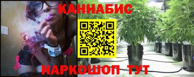 apvp Ярославль