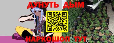 apvp Ярославль