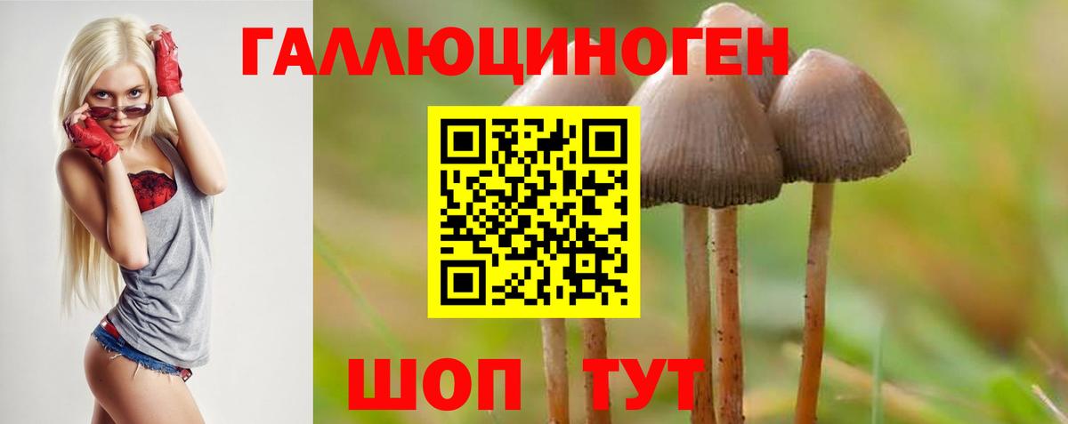 даркнет сайт  Галлюциногенные грибы прущие грибы  Псилоцибиновые грибы GOLDEN TEACHER  Вход с VPN  Кострома 